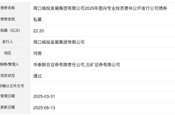 周口城投发展集团22.2亿元私募债项目获深交所通过
