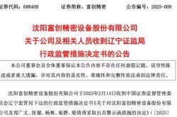 维康药业信披违法董事长重罚1600万元 实控人资金占用引可转债发行材料不准确