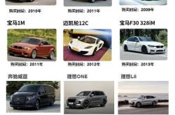 理想十年，与中国电动汽车产业狂飙