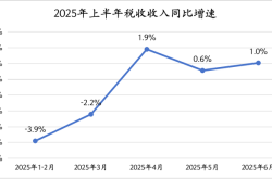 盘点上半年国家账本：税收收入逐渐回升，财政靠前发力明显 | 中国经济半年报④