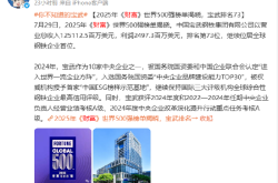 2025年《财富》世界500强榜单揭晓，宝武排名73