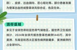 夏日出境游必看！谨防三种蚊媒传染病→丨安全贴心话