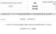 山东通报审计工作报告：两市向505名死亡人员发放养老保险