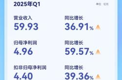 安克创新2024年营收247.1亿