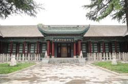 西安碑林“石刻艺术室”焕新：从汉画像石看到唐代石虎
