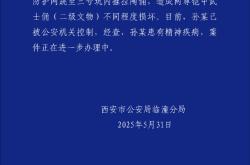西安警方：进入兵马俑三号坑男子患有精神疾病，已被控制
