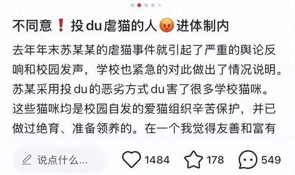桂林平乐县人社局：虐猫考生被取消 *** 资格 第1张